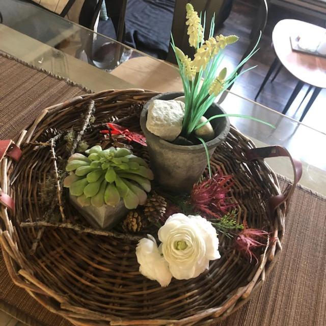 Petit Appart De Charme Eau Chaude Solaire Renovation 2021 Wifi Disponible Belvedere 5 Saint-Luc Dış mekan fotoğraf
